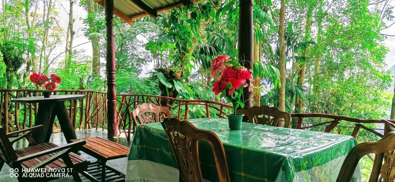 Dulmini Homestay Ella Exterior foto